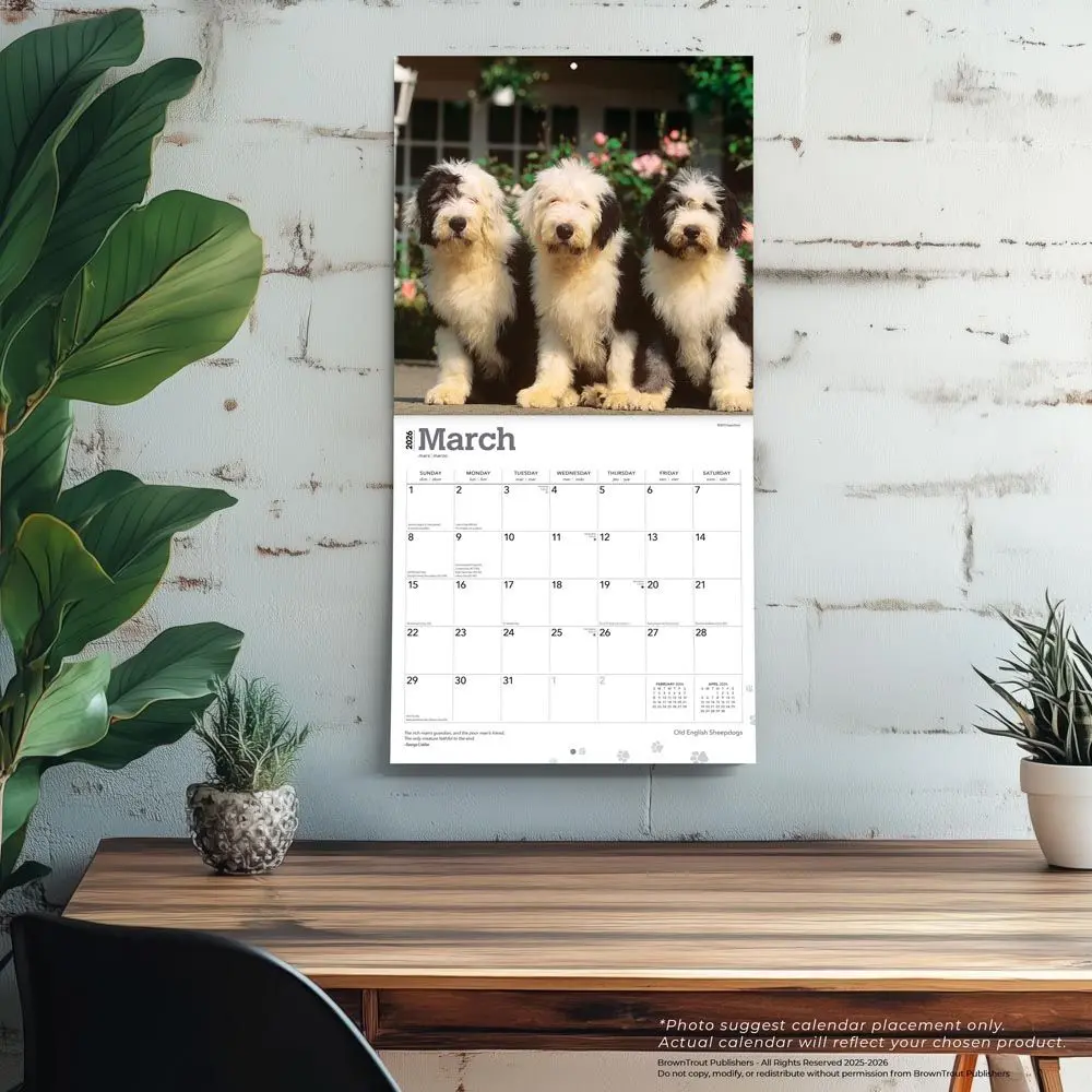 Bobtail / Old English Sheepdog Kalender 2026 - Image 5