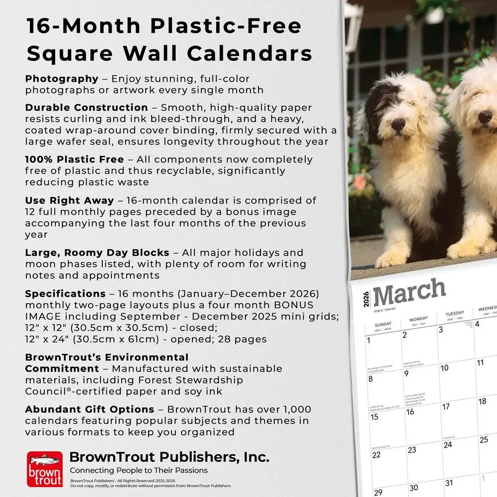 Bobtail / Old English Sheepdog Kalender 2026 - Image 6