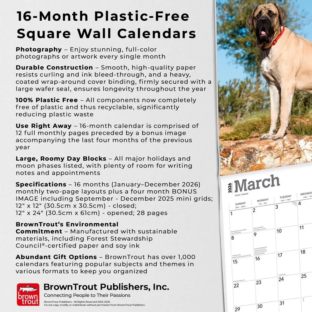 Engelse Mastiff Kalender 2026 - Image 7