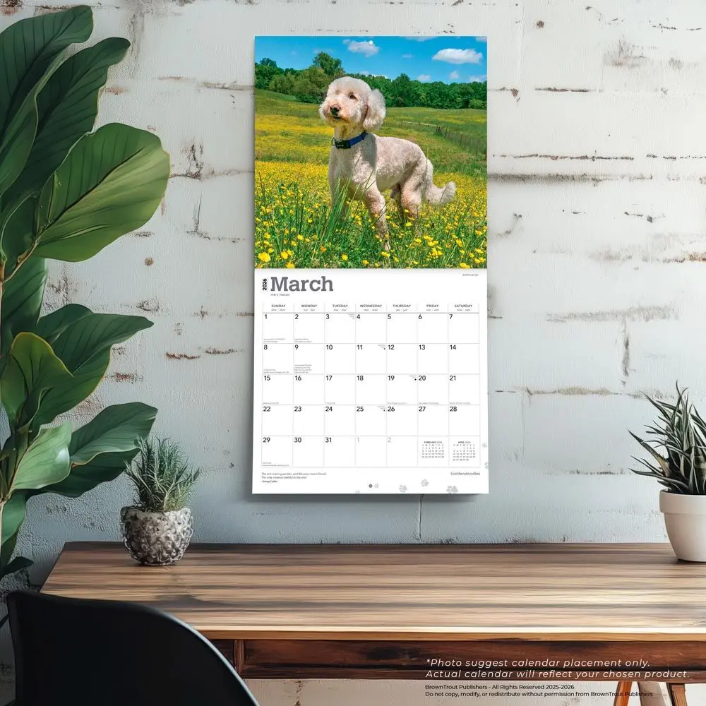 Goldendoodle Kalender 2026 - Image 5
