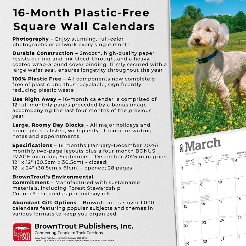 Goldendoodle Kalender 2026 - Image 6