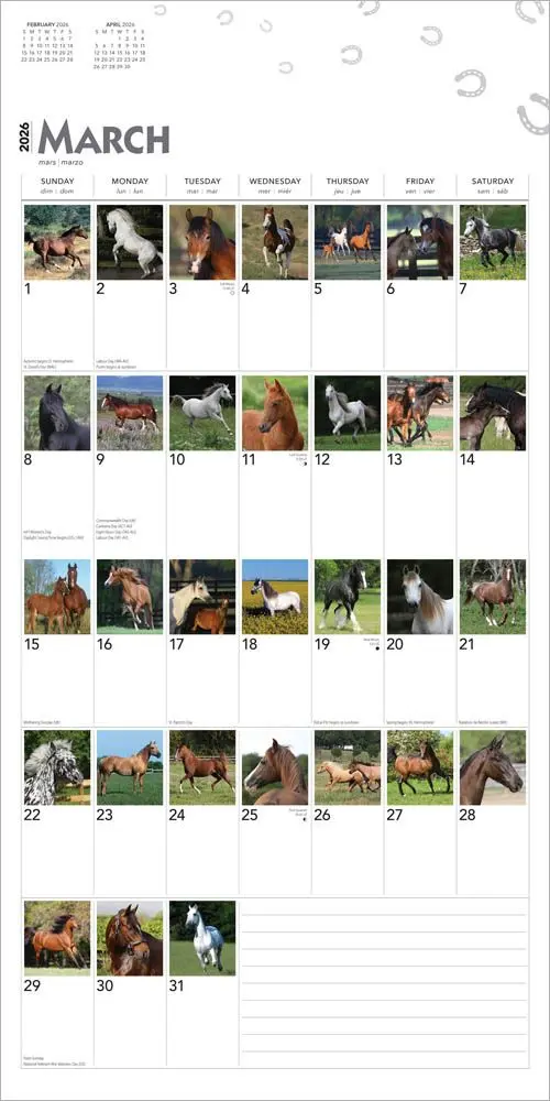 I Love Horses 366 Days Kalender 2026 - Image 3