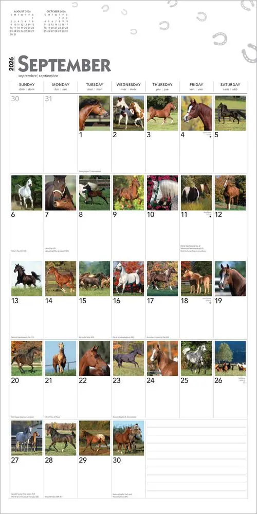 I Love Horses 366 Days Kalender 2026 - Image 4