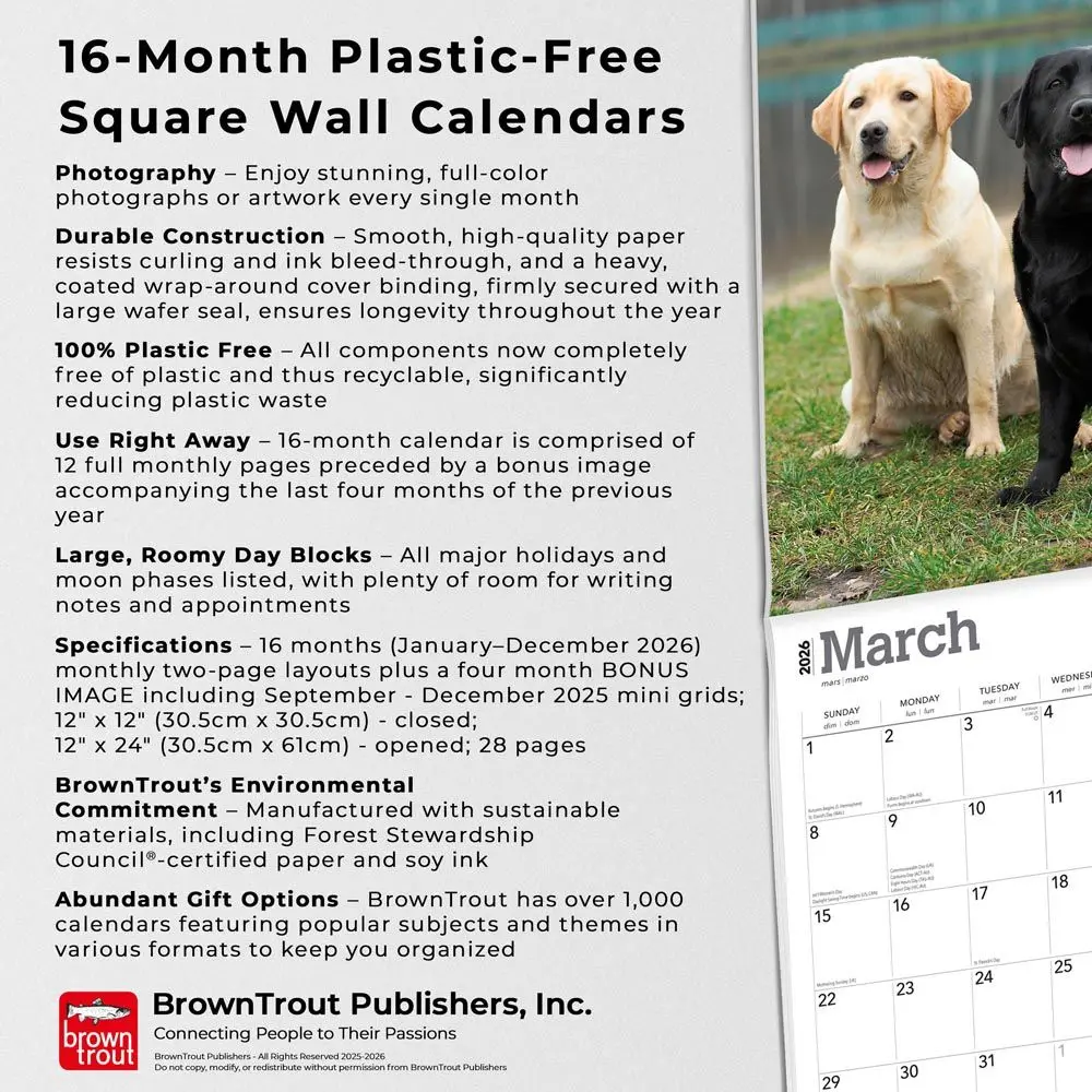 Labrador Retriever Mixed Kalender 2026 - Image 6