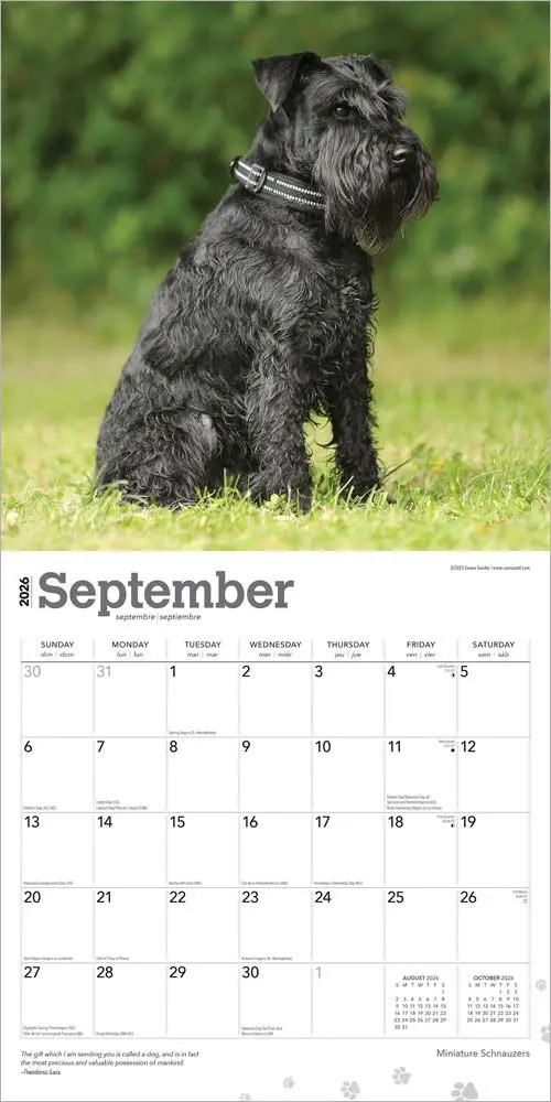 Miniatuur Schnauzer Kalender 2026 - Image 4