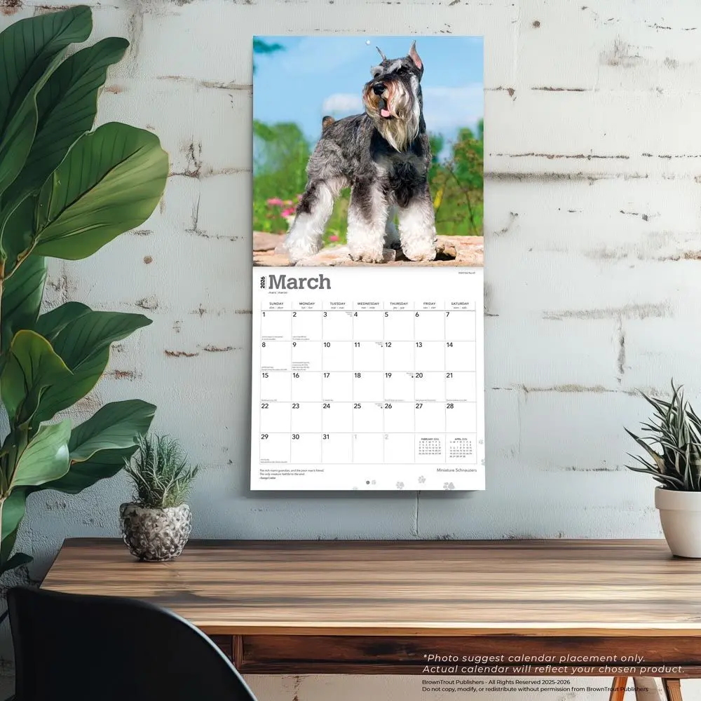 Miniatuur Schnauzer Kalender 2026 - Image 5