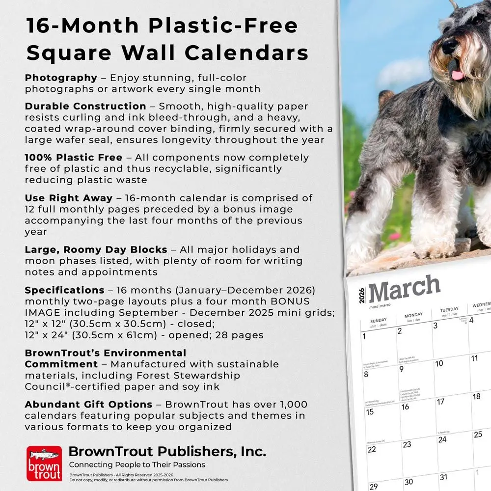 Miniatuur Schnauzer Kalender 2026 - Image 6