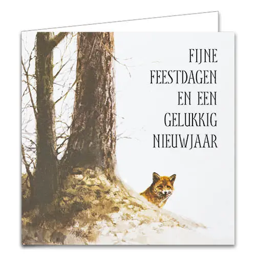Rien Poortvliet Kerstkaarten Eendentrek 10 Stuks - Image 4