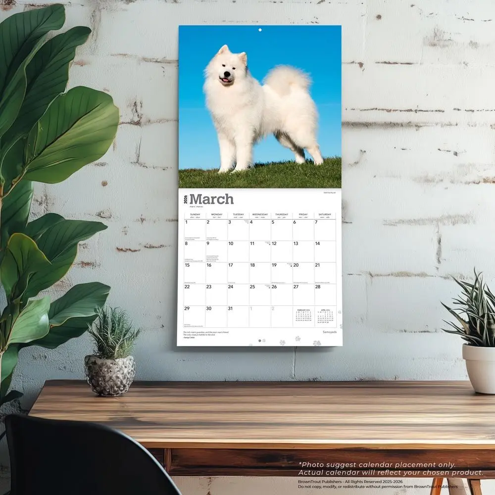 Samojeed Kalender 2026 - Image 5