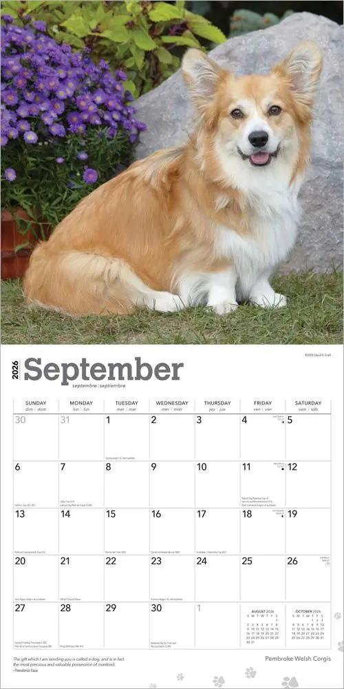 Welsh Corgi Pembroke Kalender 2026 - Image 3