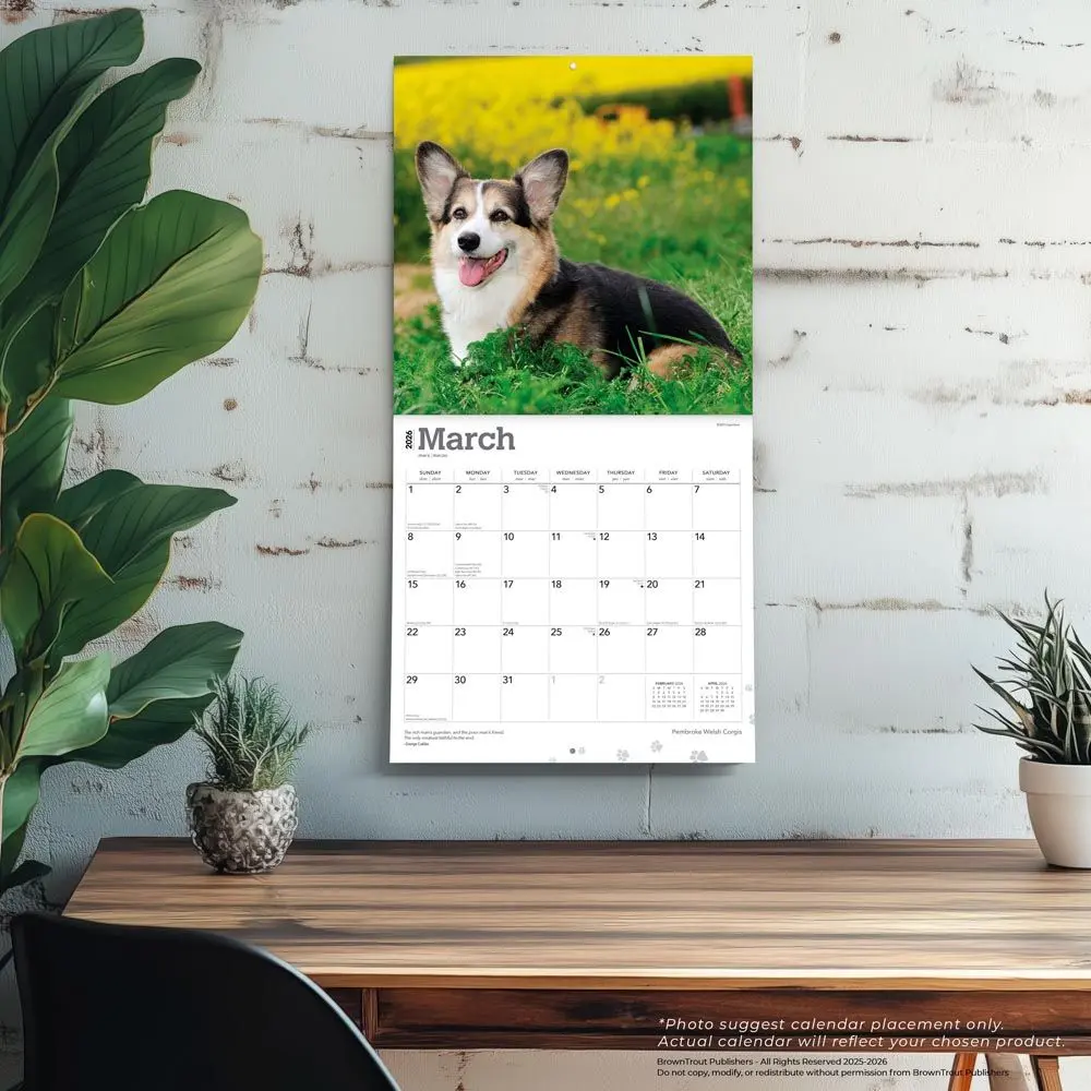 Welsh Corgi Pembroke Kalender 2026 - Image 4