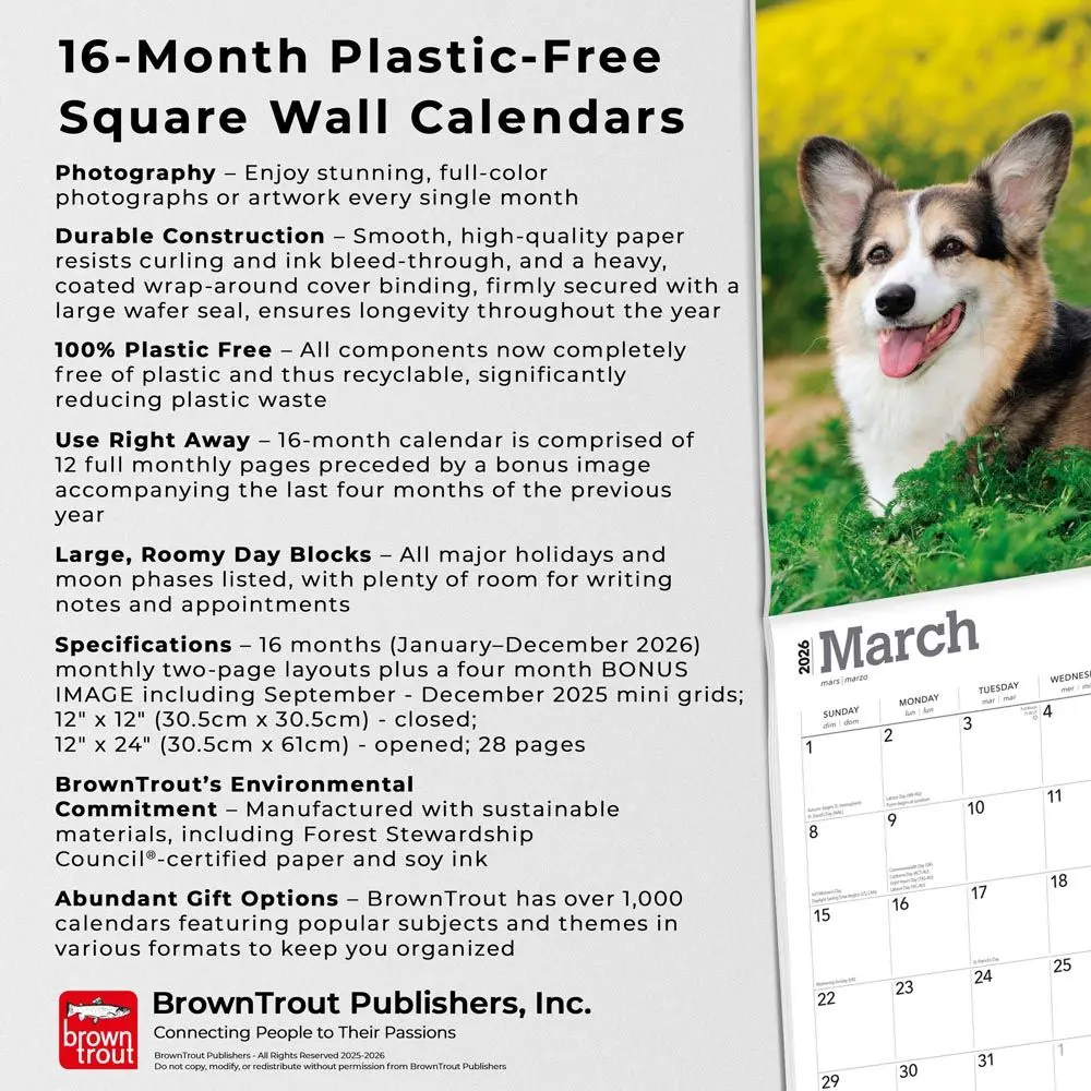 Welsh Corgi Pembroke Kalender 2026 - Image 5